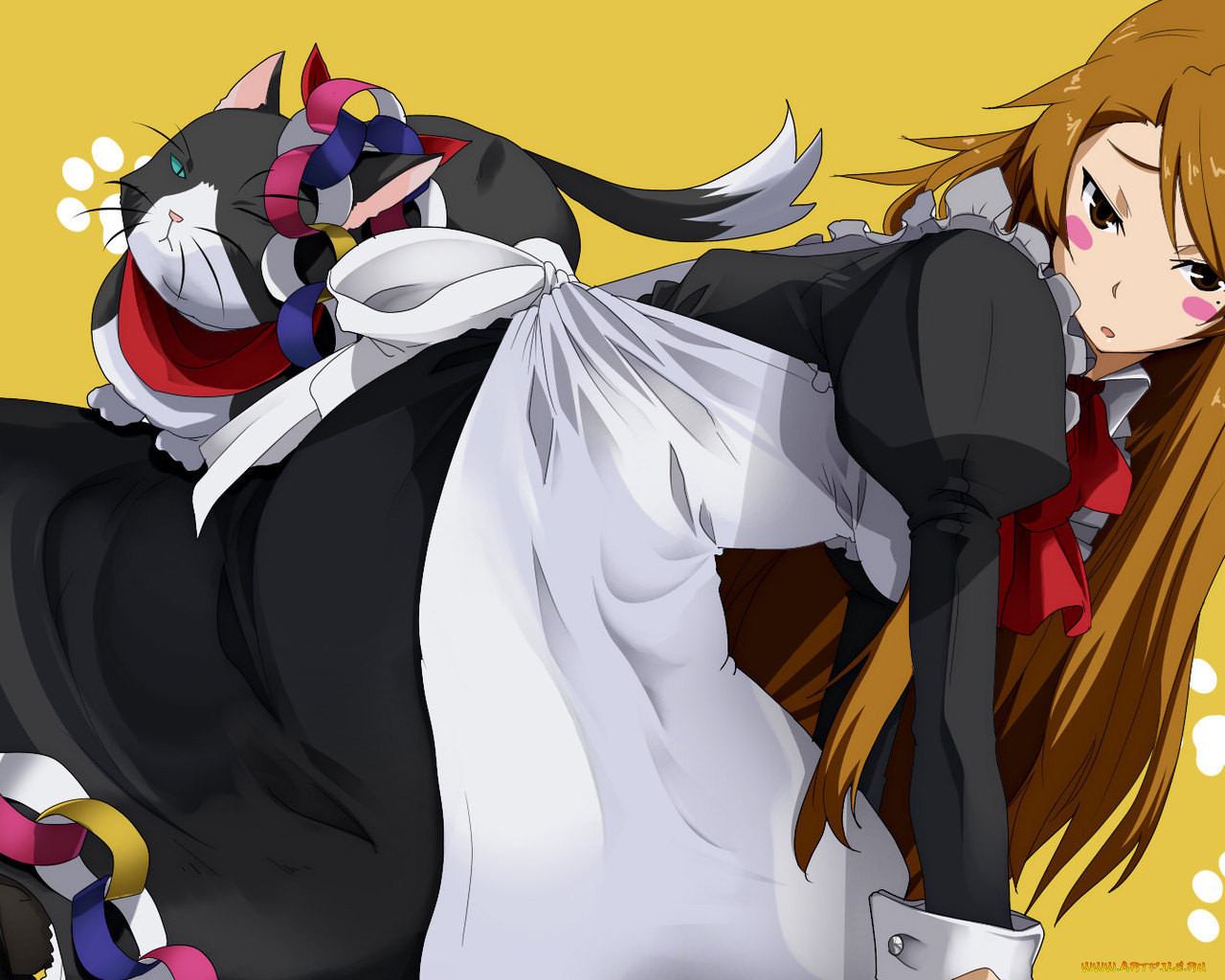 , nyankoi